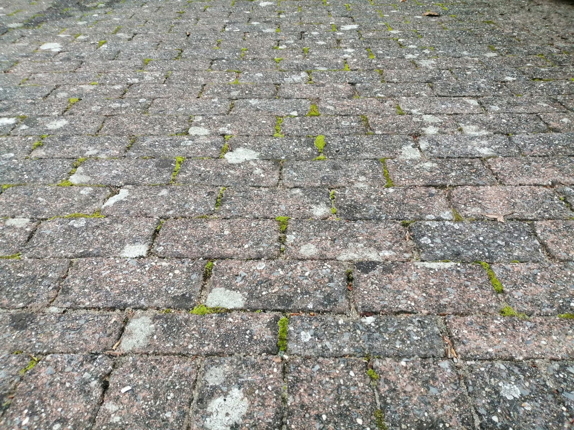 Klinkerterrass, före rengöring